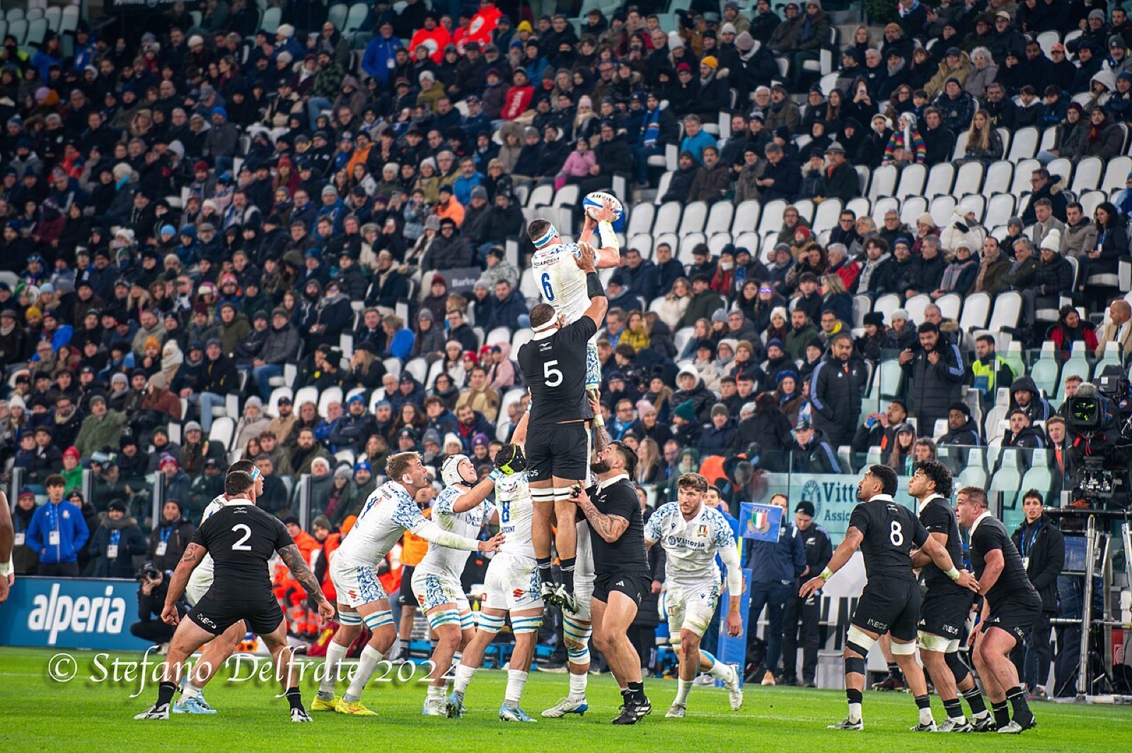 Six first-half tries in Sydney: All Blacks 43, Wallabies 21, and a 2-0 series